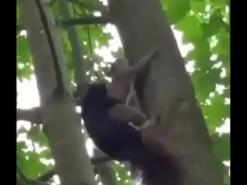 Sexo gay interracial