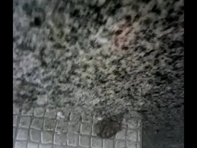 Tirei leite do meu pau gozando na parede do banheiro